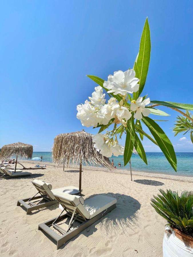 Byblos Mare-The Exclusive Beach Front Villa Σκάλα Σωτήρος Εξωτερικό φωτογραφία